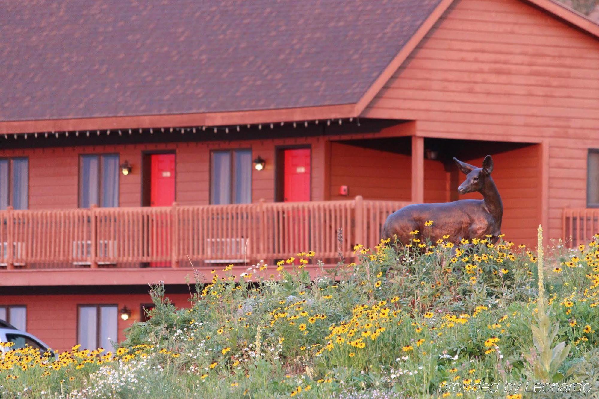 Flat Creek Inn Jackson Exterior photo